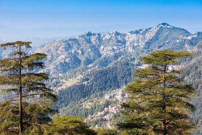 shimla-view