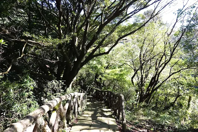 中正山步道