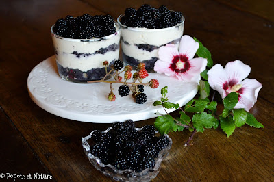 Verrines aux mûres et au mascarpone vanillé façon tiramisu © Popote et Nature