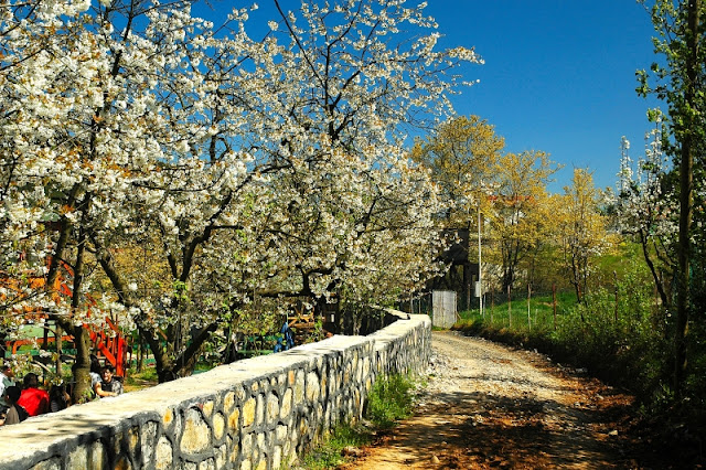 وادي أيدوس الأخضر: ملاذ طبيعي في قلب اسطنبول