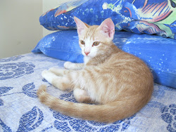 Sam,nato il 30/04/2012