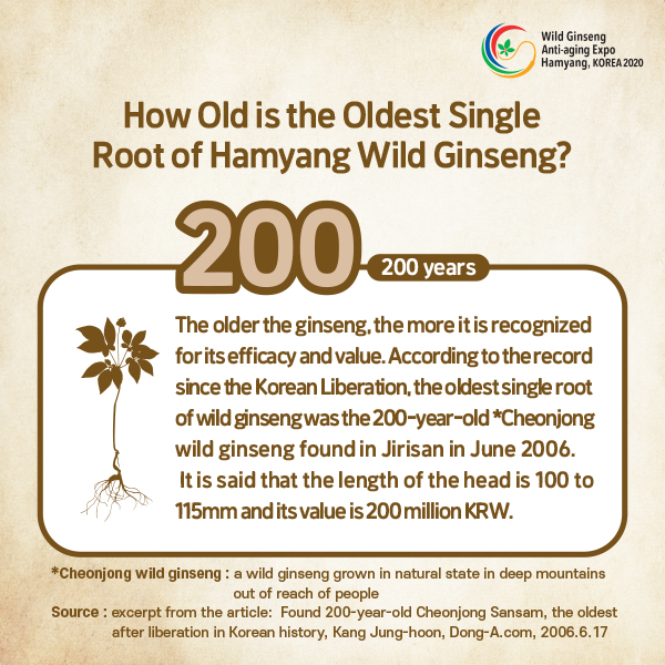 How Old is the Oldest Single Root of Hamyang Wild Ginseng?