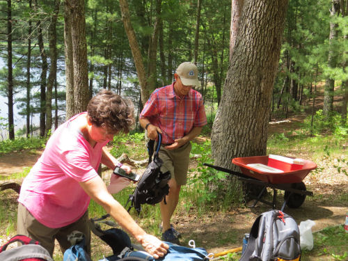 picnic lunch