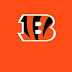  Cincinnati Bengals in 2023: A Season of Triumph and Challenges