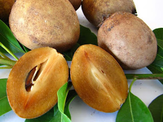 Sapodilla Fruit Pictures