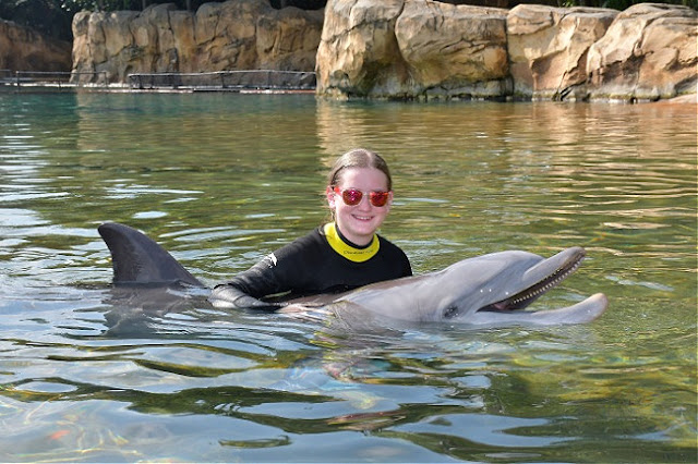 Princess interacting with dolphin at Discovery Cove