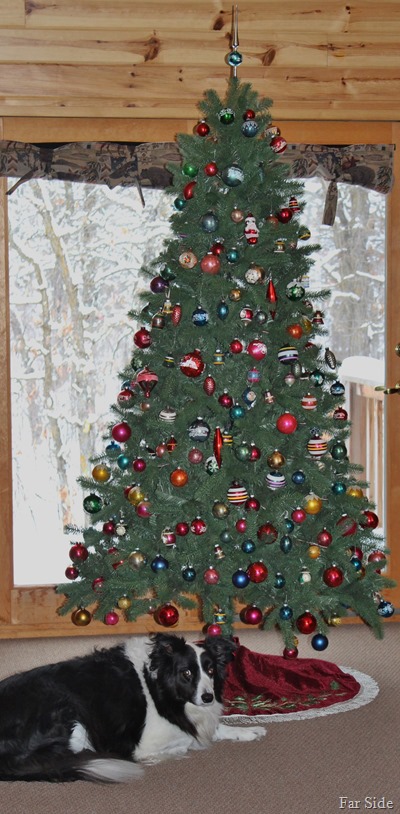The tree is done Dec 19