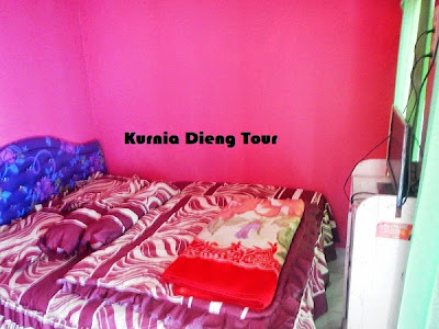 homestay puntadewa dieng