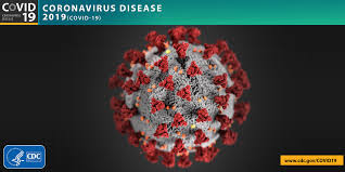 Covid 19 Virus By CDC