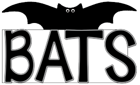 bats research