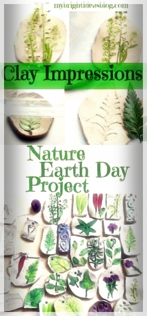 Nature Craft für Earth Day Pro