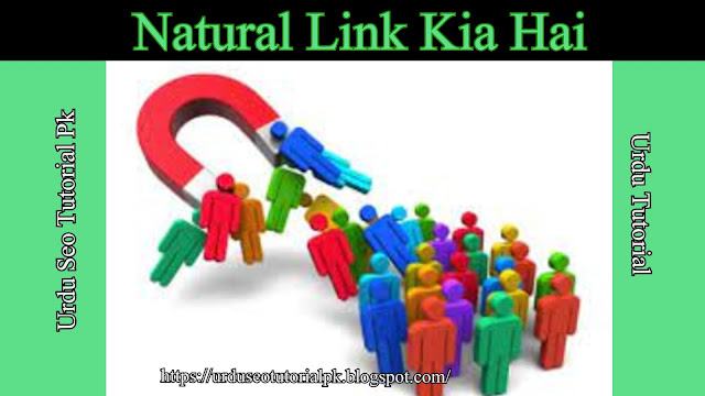 Natural Link Kia Hai