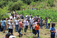 Nueva Acrópolis siembra más de 1000 arbolitos en Coatepeque