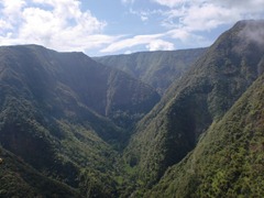 CIMG8337