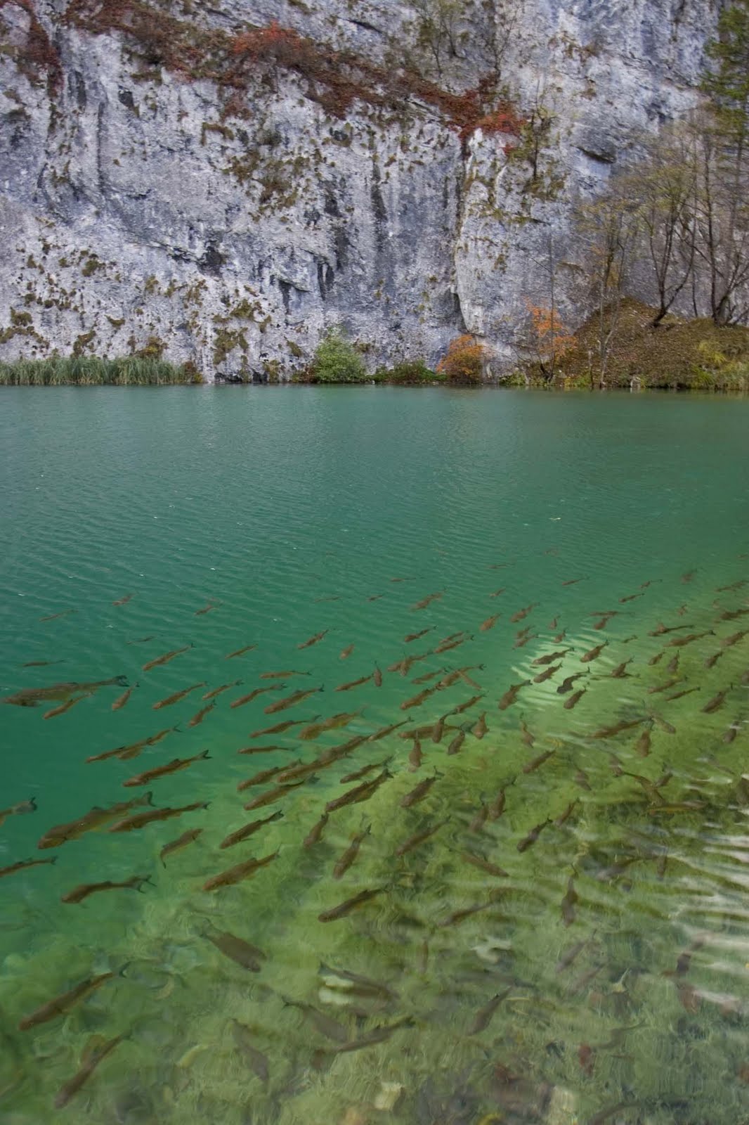 Plitvice Lakes National Park