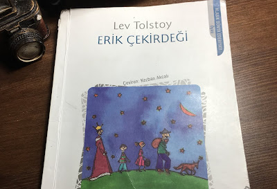 ERİK ÇEKİRDEĞİ