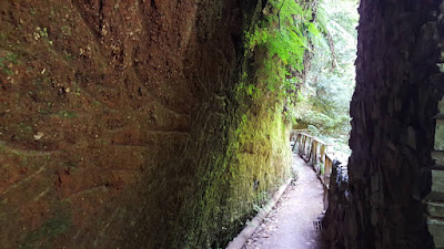 percorso Los Tilos