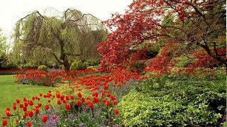 red flowers and granary