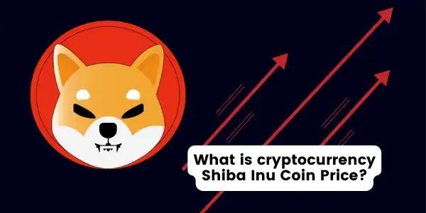 Some Remarkable Cryptocurrency Shiba Inu Price Surges: