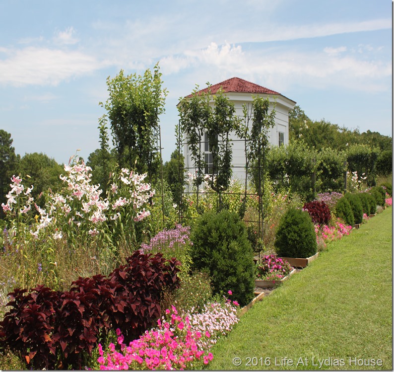 lower garden