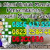 Pengobatan Antibiotik Sipilis thumbnail