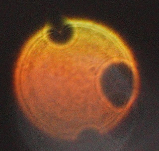 orange orb with holes