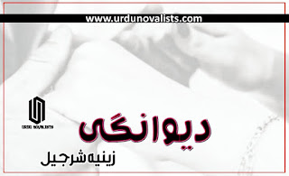 Deewangi Urdu Novel By Zeenia Sharjeel