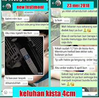 Herbal Bee Untuk Kista