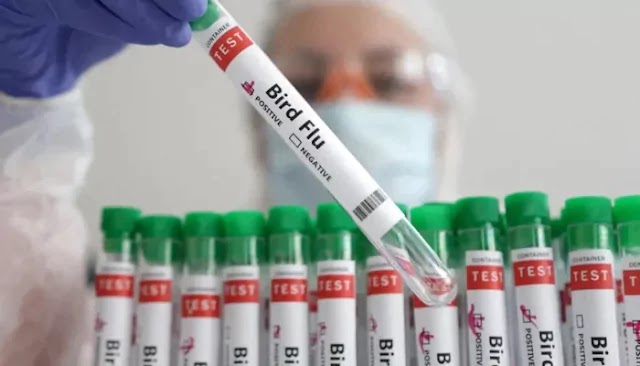 Bird Flu Outbreak in US, Eight Cases Reported, CDC Monitoring Situation