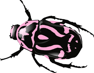 Beetle fossil astonishes evolutionists by looking "modern"