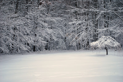 winter in Boyers, Pennsylvania