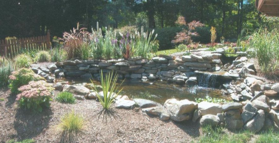 Pond Landscape Design