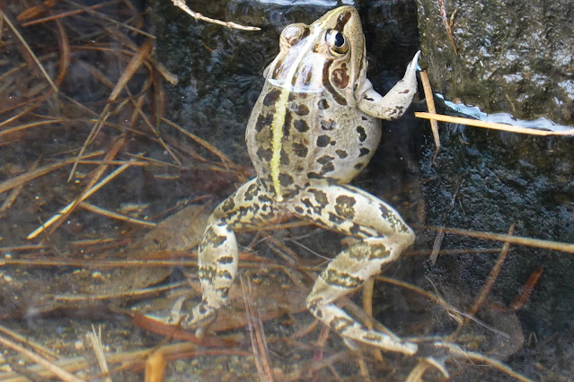 鳥取県西伯郡南部町能竹　南部町西伯カントリーパーク