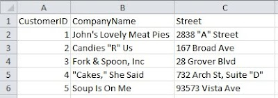 Customer Data in Excel