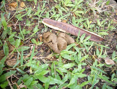 P1270261