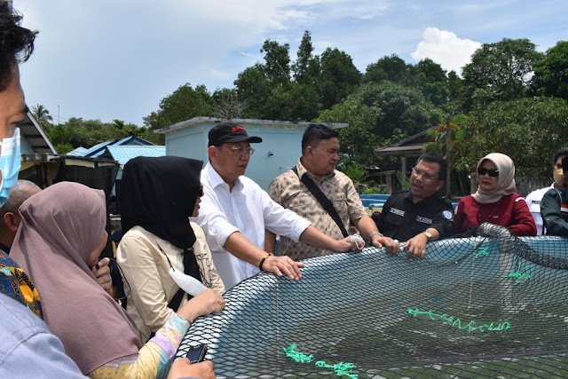 Dongkrak Produktivitas Pembudidaya, KKP Gencarkan Quality Assurance Benih Ikan