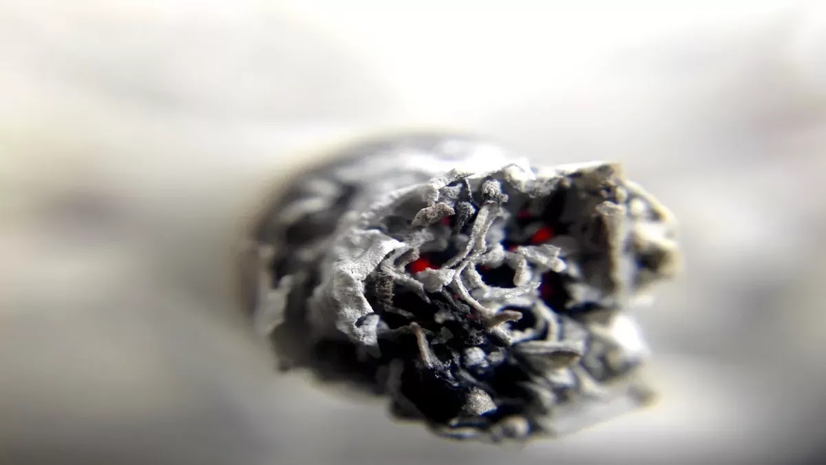 A Low-Cost Solution for Quitting Smoking The Cystine Plant-Based Medication