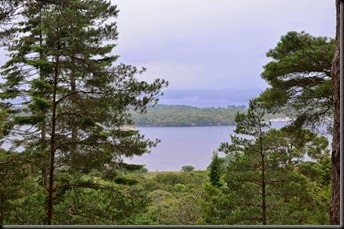 DSC_0013