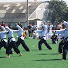 Taekwondo nacional