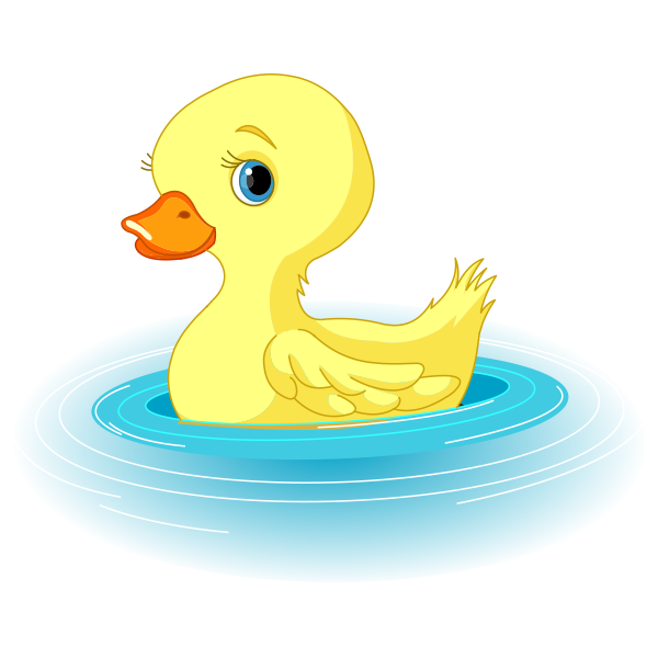 Swimming Duck