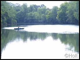 DSCF9517