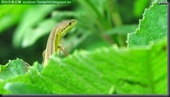 20140704_132055_145_YuanTongSih