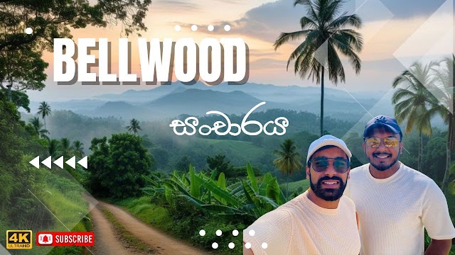 Bellwood Travel Place In Srilanka