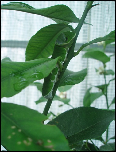 P6020143