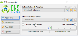 DNS to avoid website blocker