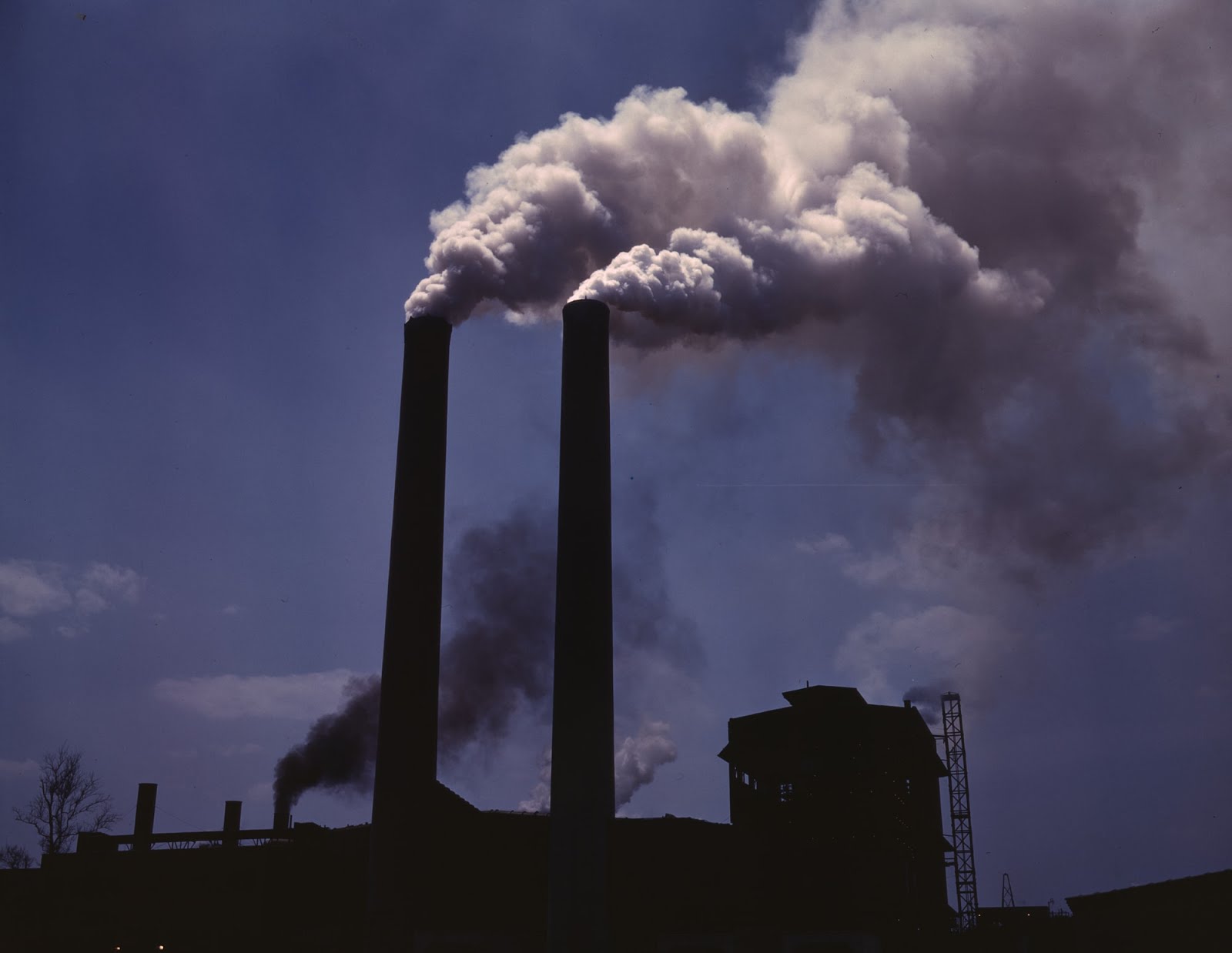 5 Dampak Polusi  Udara  Terhadap Kesehatan Manusia dan 