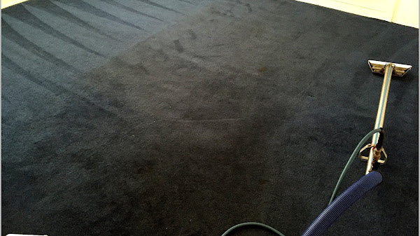 Carpet Cleaning Calabasas Ca