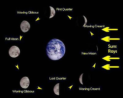 moon phases in order. you can be found at http project teachers tdraw The+moon+phases+in+order