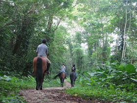 Singapore Polo Club riders taking their horses for a trot through Bukit Brown