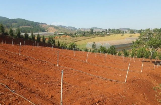 Cần bán 2 hecta đất tà Nung, 120m mặt tiền đường lớn, giá 30 tỉ